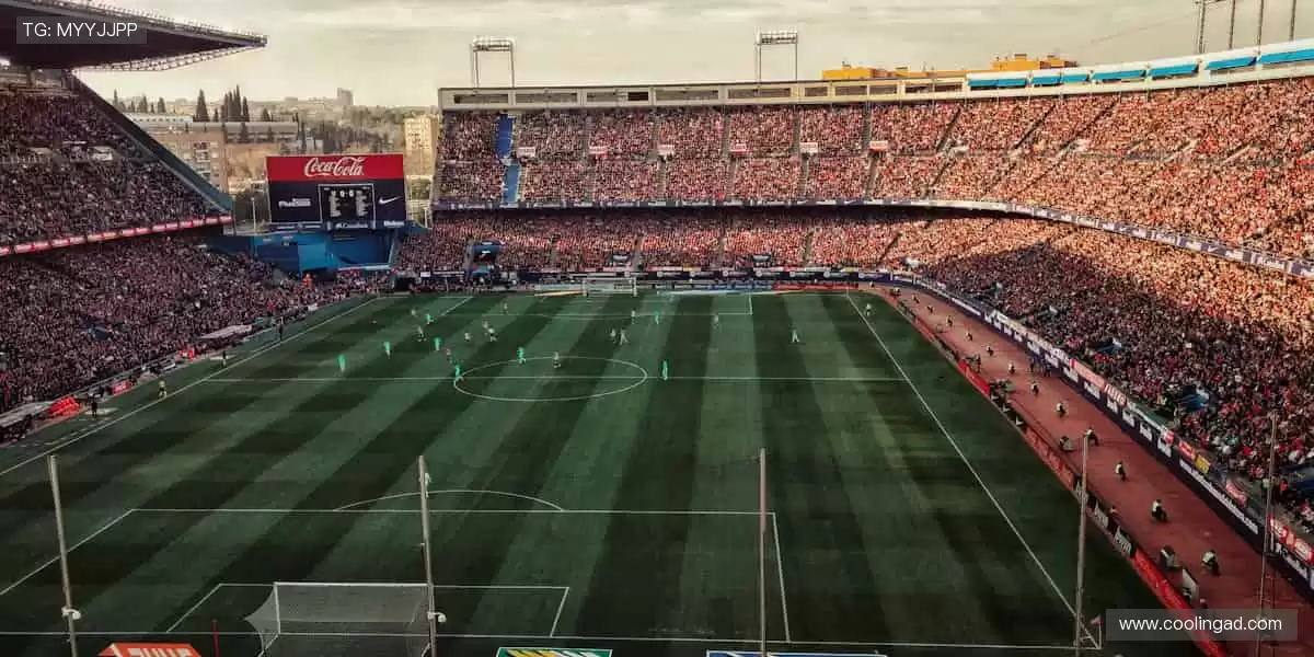 专业周边，品质之选！🎾